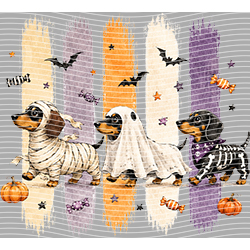 Halloween-WS 11986